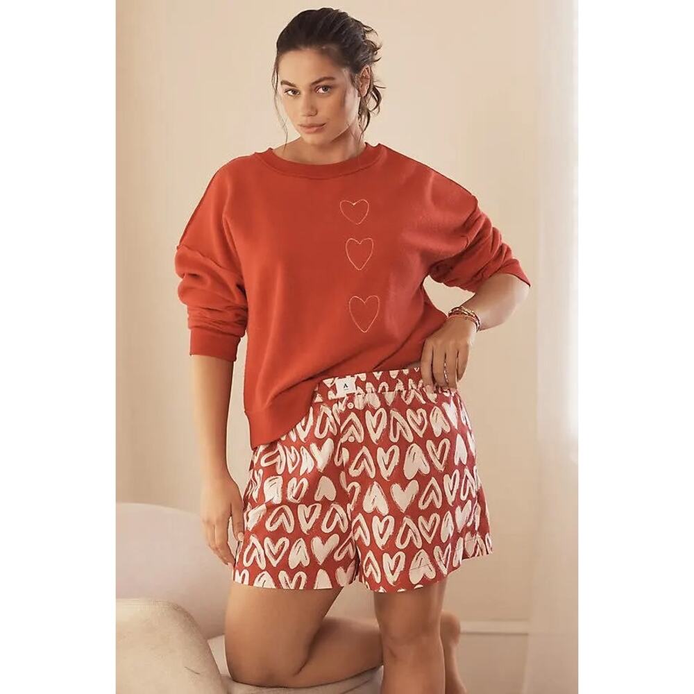 NWT by Anthropologie The Wren Two Piece Heart and Striped Print Boxer Shorts XL - Picture 3 of 16